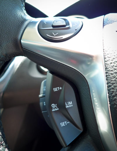 Steering wheel after grooming