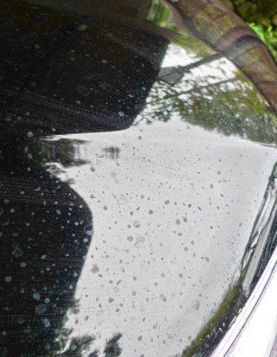 Mineral water spots on bonnet