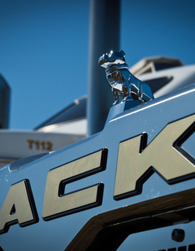 Mack truck bull dog and logo