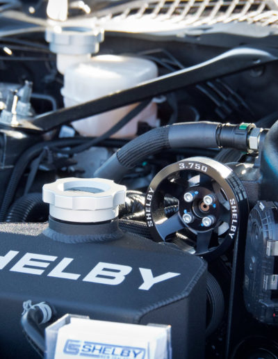 Shelby Engine Bay