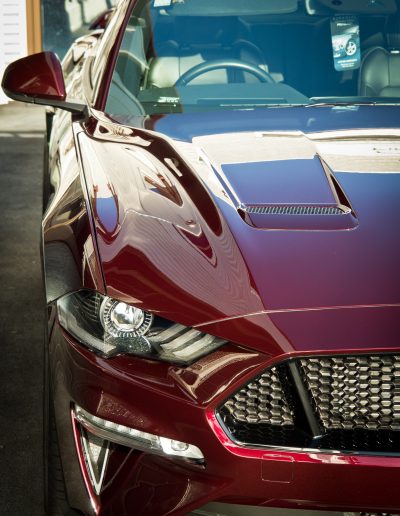 View over bonnet after coating applied