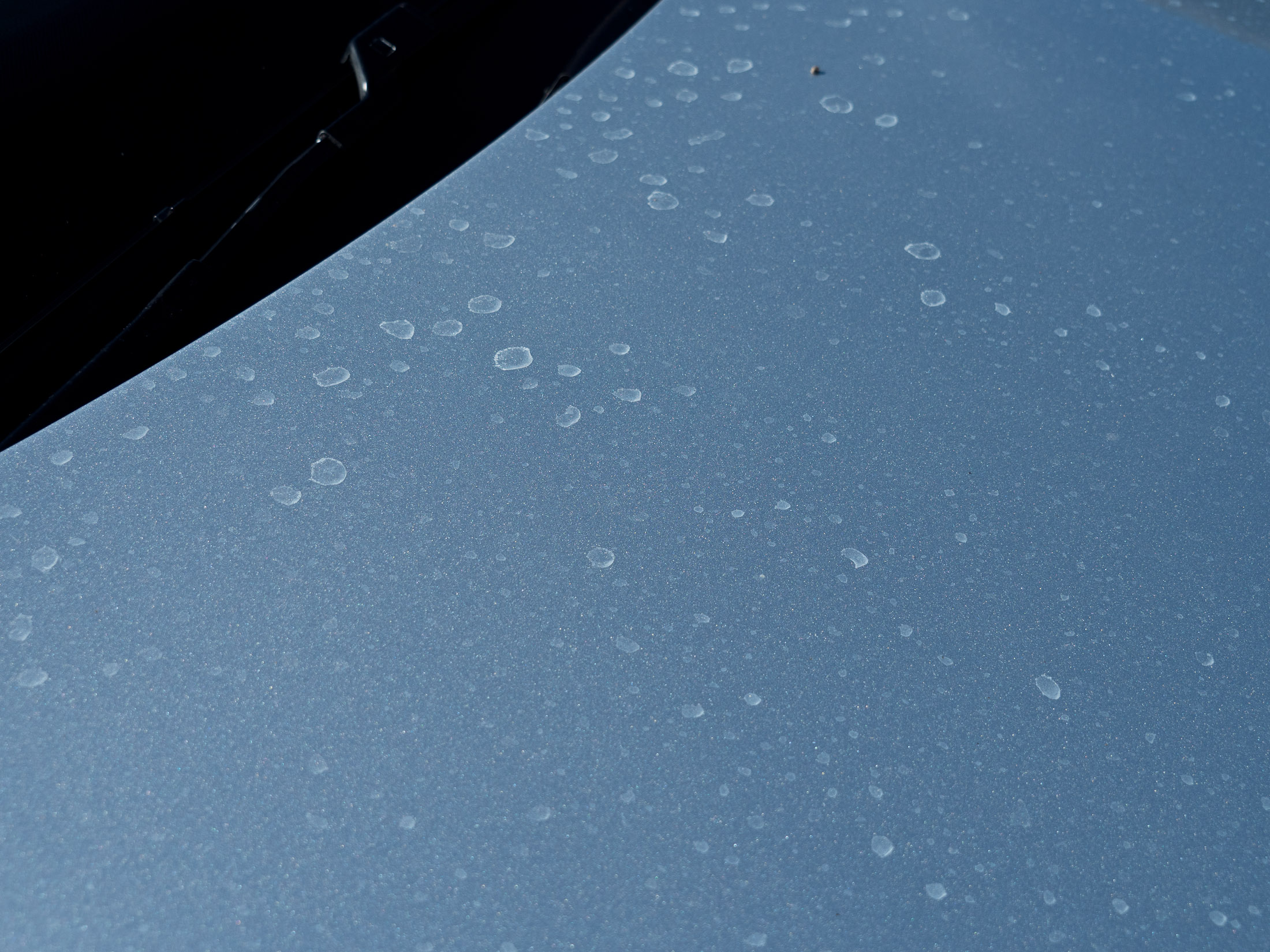 Mineral water spots on bonnet