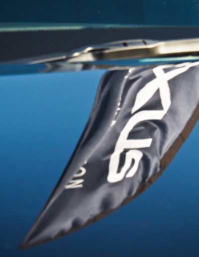 Reflection of Lexus flag on bonnet
